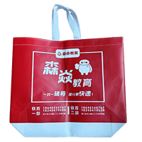 龙岩LB37培训班广告袋